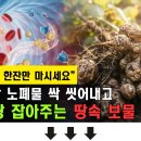 "호두, 우유 상대도 안된다.." 치매 극복한 80세 어르신이 매일 먹은 1등 음식 이미지