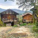 리틀댕댕 | [삼척 숙소] 숲캉스🌳, 향초목원 리틀포레스트 미니 이용 후기
