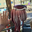 대진항 공중화장실 | 대진항 문어 위판장: 대왕문어를 싯가보다 저렴하게 구입 가능한 문어세상