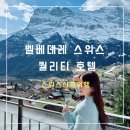 스위스 신혼여행 숙소 벨베데레 스위스 퀄리티 호텔(아이거북벽뷰로 예약하는 법)