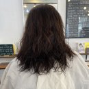 살롱인더반 이미지