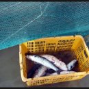 하전어촌체험마을 이미지