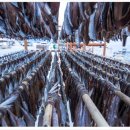 창포 보건진료소 이미지