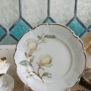 목련헤어라인 이미지