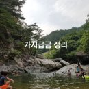 에이치앤씨컨설팅 - 군산시 사전안1길 8 | 에이치앤씨컨설팅