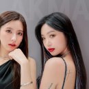리얼핏 이미지