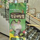 삼척 하이원 추추파크 큐브빌 숙박 후기! 스위치백 트레인부터 정글대탐험까지