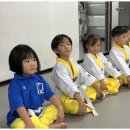 대호태권도 이미지