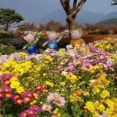 추모공원 야외 이미지