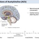 조아약국 이미지