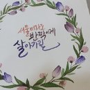 수채일러스트 캘리그라피(야간) | 캘리그라피글씨체 배워 부업해요~