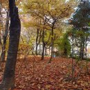 기쁜소식행정사사무소 이미지