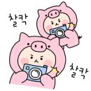 뚜레쥬르 자양점