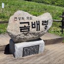 곰배령 | 곰배령 야생화 트레킹(위치, 주차, 예약, 날씨, 등산코스, 펜션)