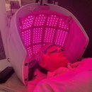 더블유엠에스 이미지