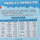 대구 근교 포항 영일대 아이랑 같이 여름 휴가 평상 파라솔 샤워실 이용요금