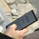 강아지 쿨매트 종결템 내돈내산 반려동물 냉난방기 이파람 펫라운지
