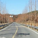 신두왕로 서울경제