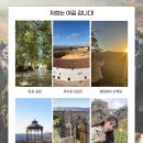 [세비야] 론다 야경 투어 마이리얼트립 팔로우미투어 내돈내산 후기, 론다 맛집 추천