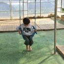 가을의 온새미로 이미지