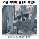 어? 내 4월 돌려줘요,,하면서 허우적거리는 솜씻너의 일상
