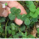 무정면사무소 이미지