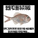 아 곡 | 🐟: [아 찐따 존나 싫어] 선셋롤러코스터 내한 후기