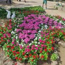 덕화식당 이미지