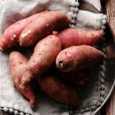 팜 휘트니스 이미지