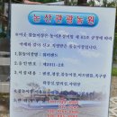 논산관광농원워터랜드