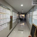 리마영어학원