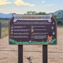 수진축구장 이미지