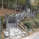 분당노인종합복지관 데일리와이