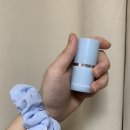 허밍팜 Daum카페