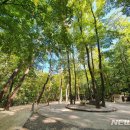 가야산국립공원사무소 이미지