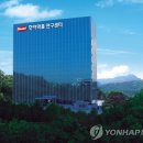 호약품 이미지