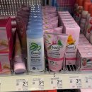 오페라빈 | 유럽여행 ⑭ : 오스트리아 빈 국립 오페라 극장 스탠딩 좌석 관람 후기, 벨베데레 궁전 ‘클림트 키스’