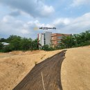 신정로(북측) 이미지