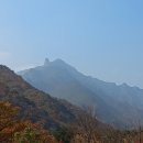 비데랜드(주) 이미지