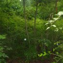 황조리마을회관 이미지