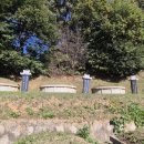 이진무묘 이미지