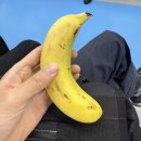 청운상회 | 2025 연말결산-하반기