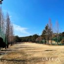 코오롱호텔 가든골프장 이미지