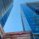 비트 16 가산점 이미지