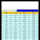 신발 사이즈 조견표 SIZE TABLE international 이미지