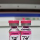 칠곡종합약국 이미지