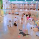 몽이네 맡겨보시개 이미지