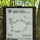 대 야 산 (930.7) 이미지