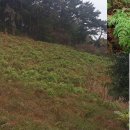 고전면생활체육공원 이미지