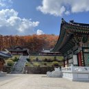 미륵대흥사 - 1206 | 미륵대흥사